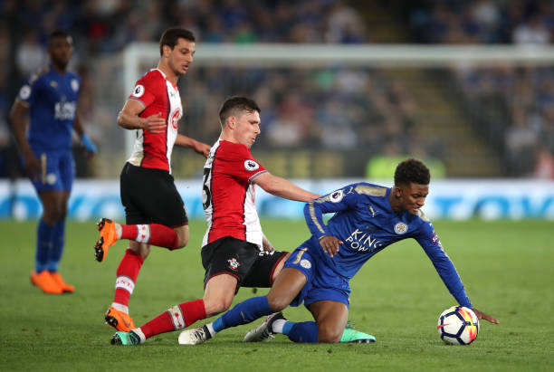 舍夫勒的参 舍夫勒的参