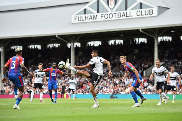 这一选择可 这一选择可